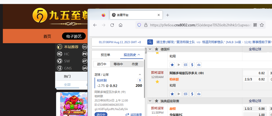 柏林联.png